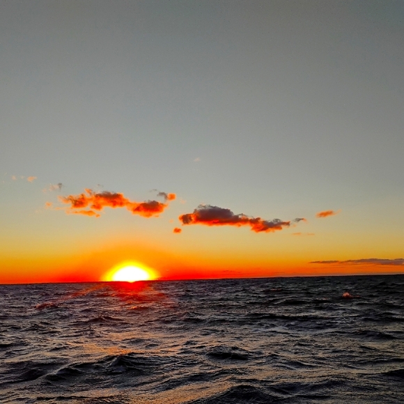 π BILLABONG AQUA Tee RON JON SURF SHOP π EUC VINTAGE - Picture 14 of 16